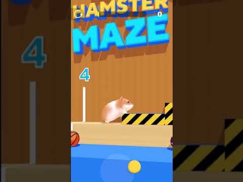 Video guide by The Hamster Romulus Identify: Hamster Maze Level 4 #hamstermaze