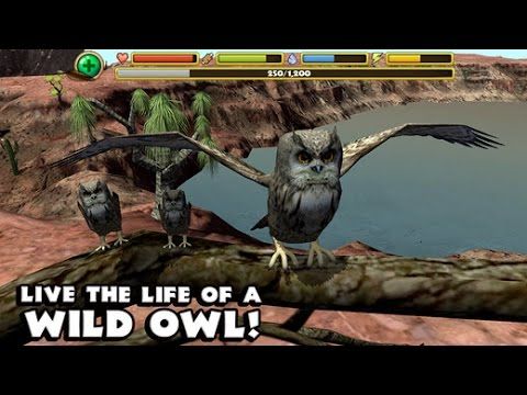 Video guide by Dave's Gaming: Owl Simulator Part 2 #owlsimulator