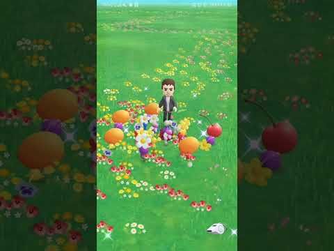 Video guide by TorinoDz: Pikmin Bloom Level 28 #pikminbloom