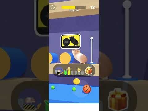 Video guide by Yacky Games and Timers TV: Hamster Maze Level 20 #hamstermaze