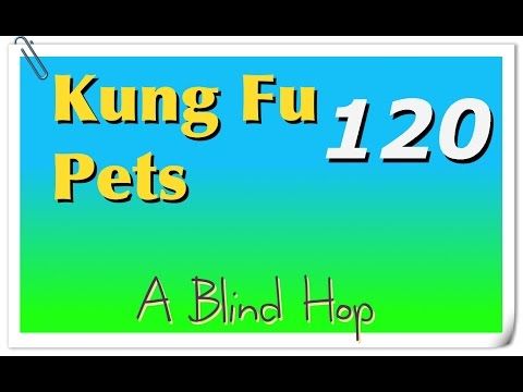 Video guide by GameHopping: Kung Fu Pets Part 120 #kungfupets