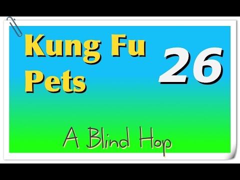 Video guide by GameHopping: Kung Fu Pets Part 26 #kungfupets