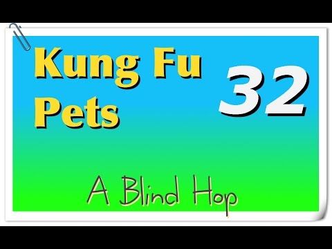 Video guide by GameHopping: Kung Fu Pets Part 32 #kungfupets