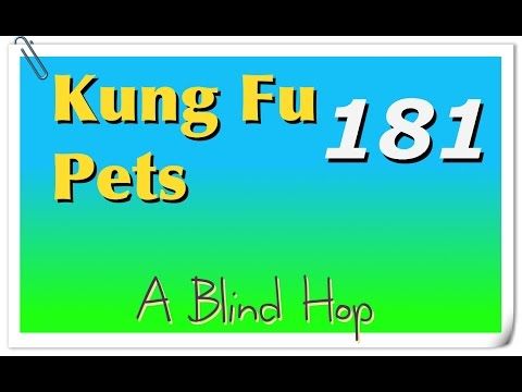 Video guide by GameHopping: Kung Fu Pets Part 181 #kungfupets