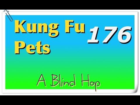 Video guide by GameHopping: Kung Fu Pets Part 176 #kungfupets