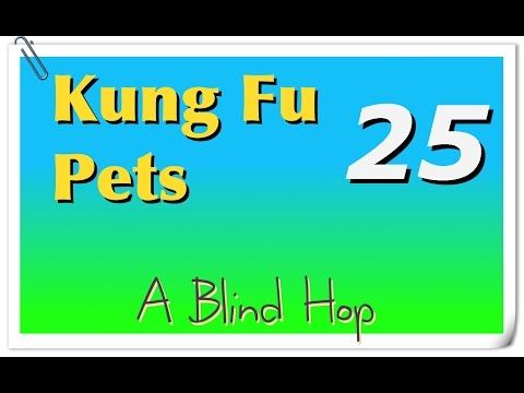 Video guide by GameHopping: Kung Fu Pets Part 25 #kungfupets