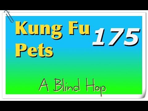 Video guide by GameHopping: Kung Fu Pets Part 175 #kungfupets