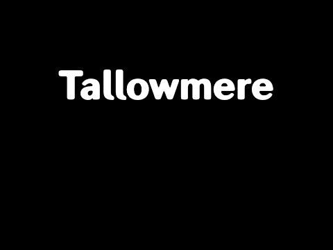 Video guide by Eino Chisune: Tallowmere Level 1 #tallowmere