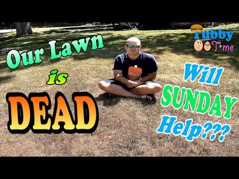 Video guide by Fatty's Feasts & Funnies : Sunday Lawn Part 2 #sundaylawn
