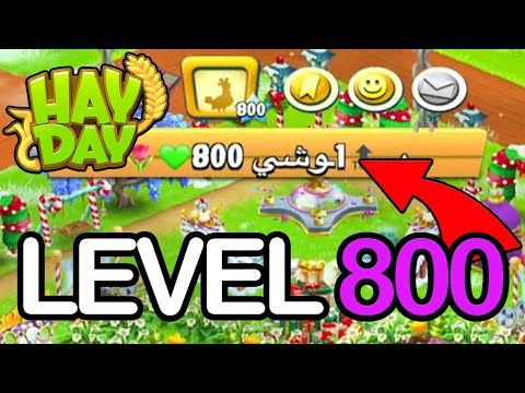 Video guide by SyromerB: Hay Day Level 800 #hayday