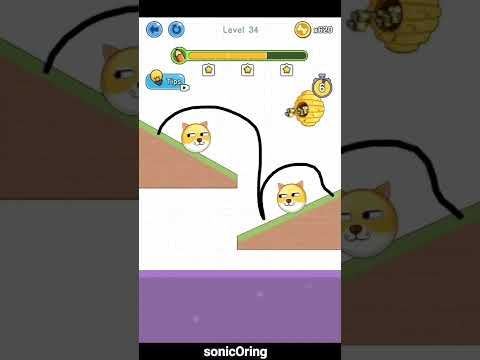 Video guide by sonicOring: Save the Doge Level 31 #savethedoge