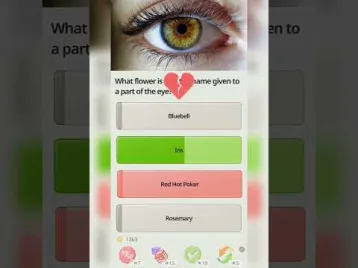 Video guide by Quize gaming: QuizzLand Level 75 #quizzland