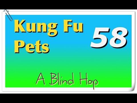 Video guide by GameHopping: Kung Fu Pets Part 58 #kungfupets