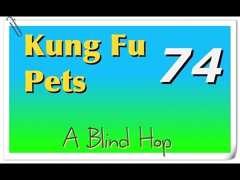 Video guide by GameHopping: Kung Fu Pets Part 74 #kungfupets