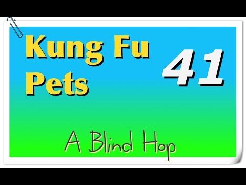 Video guide by GameHopping: Kung Fu Pets Part 41 #kungfupets