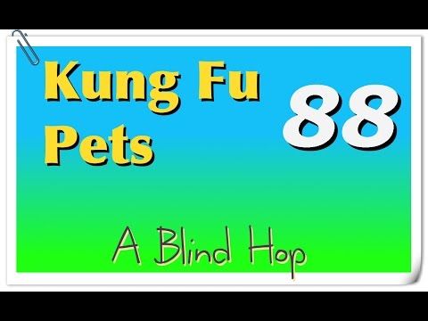 Video guide by GameHopping: Kung Fu Pets Part 88 #kungfupets