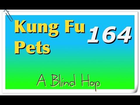 Video guide by GameHopping: Kung Fu Pets Part 164 #kungfupets