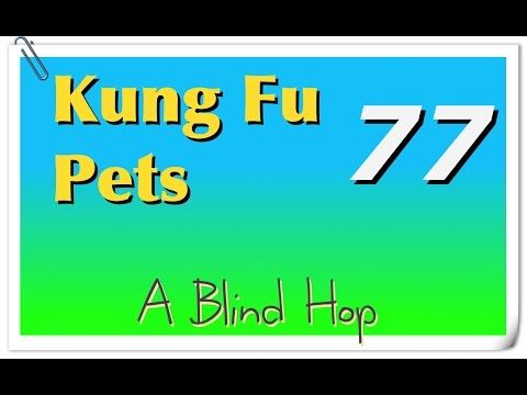 Video guide by GameHopping: Kung Fu Pets Part 77 #kungfupets