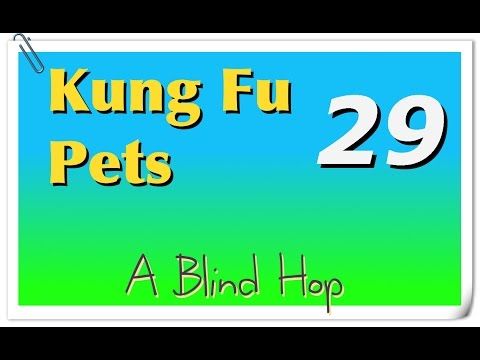 Video guide by GameHopping: Kung Fu Pets Part 29 #kungfupets