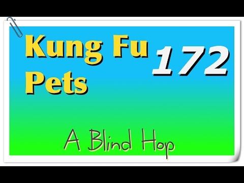 Video guide by GameHopping: Kung Fu Pets Part 172 #kungfupets