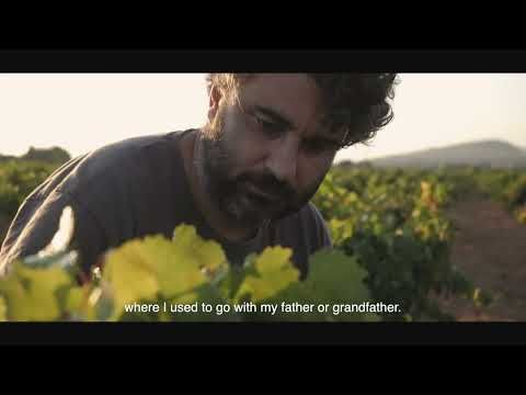 Video guide by De Maison Selections: Viticulture Chapter 2 #viticulture