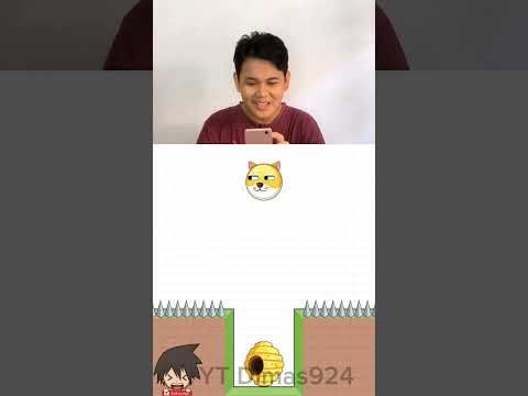 Video guide by Dimas924: Save the Doge Part 14 - Level 24 #savethedoge