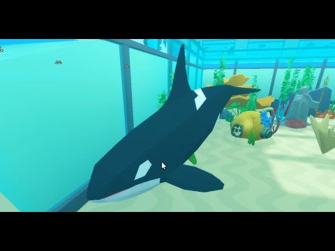 Video guide by Nicklas gamer: Aquarium Tycoon Level 4 #aquariumtycoon