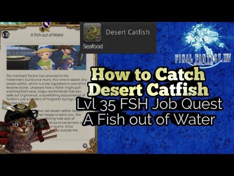 Video guide by KittyBit Games!: Fish Out Of Water! Level 35 #fishoutof