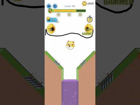 Video guide by TOP GAMMER: Save the Doge Level 161 #savethedoge