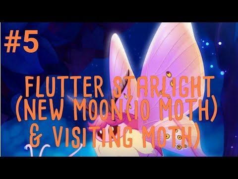 Video guide by Yudha Erlangga: Flutter: Starlight Part 5 #flutterstarlight