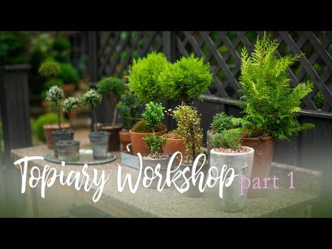 Video guide by Linda Vater: Topiary Part 1 #topiary