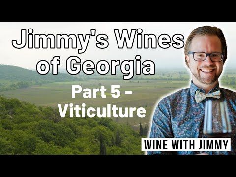 Video guide by Wine With Jimmy: Viticulture Part 5 #viticulture