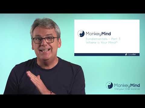 Video guide by Monkey Mind: Monkey Mind Part 3 #monkeymind