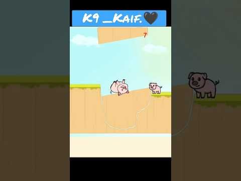 Video guide by K9 _kaif.?: Big Pig Level 429 #bigpig