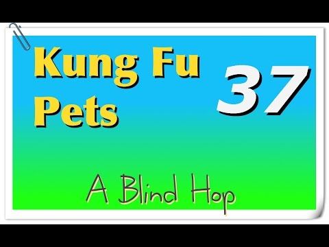 Video guide by GameHopping: Kung Fu Pets Part 37 #kungfupets