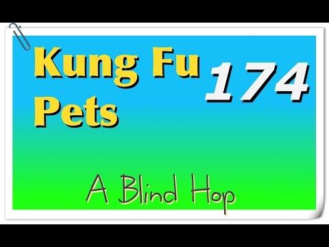 Video guide by GameHopping: Kung Fu Pets Part 174 #kungfupets