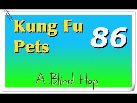 Video guide by GameHopping: Kung Fu Pets Part 86 #kungfupets