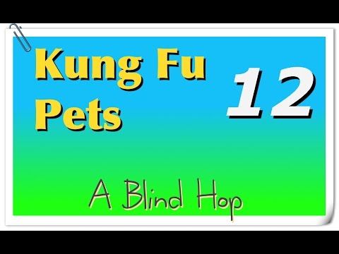 Video guide by GameHopping: Kung Fu Pets Part 12 #kungfupets