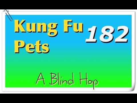 Video guide by GameHopping: Kung Fu Pets Part 182 #kungfupets