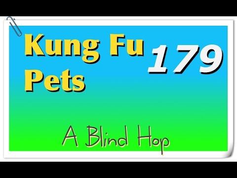 Video guide by GameHopping: Kung Fu Pets Part 179 #kungfupets