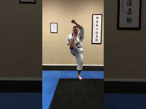 Video guide by Shuhari Martial Arts: IPPON Level 1 #ippon