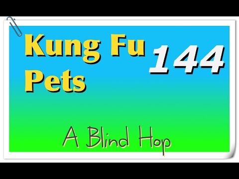Video guide by GameHopping: Kung Fu Pets Part 144 #kungfupets