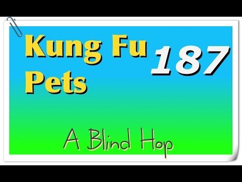 Video guide by GameHopping: Kung Fu Pets Part 187 #kungfupets