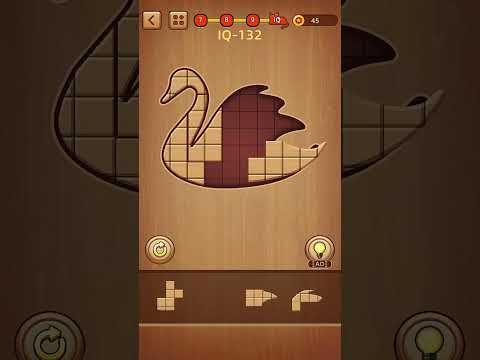Video guide by Rdy2Game: Wood Block Level 10 #woodblock
