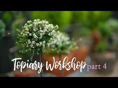 Video guide by Linda Vater: Topiary Part 4 #topiary