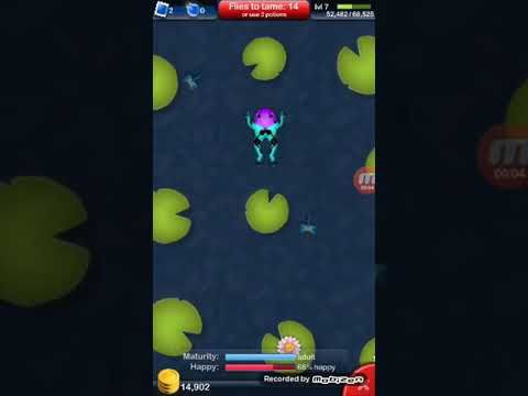 Video guide by Mr.C AKA Calvin: Pocket Frogs Part 22 #pocketfrogs