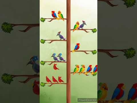 Video guide by SND: Bird Sort Color Puzzle Game Level 8 #birdsortcolor