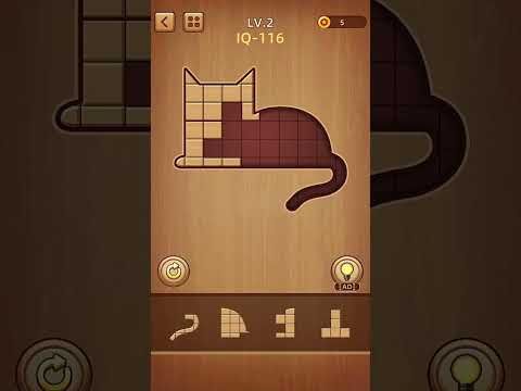 Video guide by Rdy2Game: Wood Block Puzzle Level 2 #woodblockpuzzle
