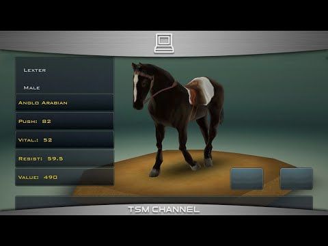 Video guide by TSM Channel: Race Horses Champions Part 7 #racehorseschampions