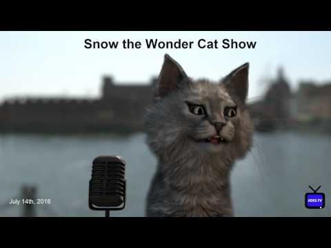 Video guide by Snow the Wonder Cat Show: The Wonder Cat Level 10 #thewondercat
